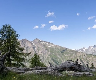 Replay Une vie à l'ombre des Alpes - La vallée d'Aoste en Italie