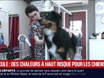 Replay BFM Première prématinale - Focus Régions - 10/07
