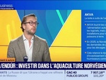 Replay Tout pour investir - Émission du 15 octobre 2026