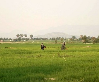 Replay Le Cambodge de Rithy Panh / Los Angeles / Salvador - Invitation au voyage