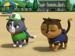 Replay Paw Patrol, la Pat'Patrouille - S09 E09 - Le concours de sculpture sur sable