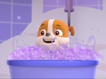 Replay Paw Patrol, la Pat'Patrouille - Le mariage