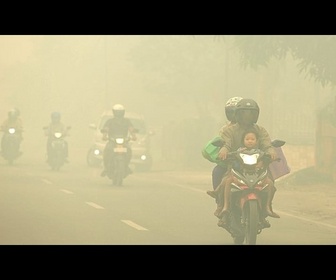 Replay L'Indonésie et Singapour suffoquent sous la fumée des incendies