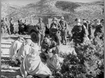 Replay Focus - Guerre d'Algérie : 70 ans après, retour sur la Toussaint rouge