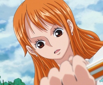 Replay One piece - S18 E30 - Adieu, on quitte l'éléphant. En route pour délivrer Sanji !
