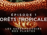Replay Les superpouvoirs des plantes - S1 E1 - Forêts tropicales