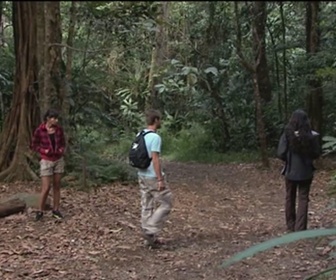 Replay Foudre - Vers l'arbre à pleurs