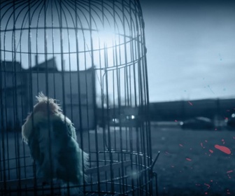 Replay Meurtres insolites - S1E31 - Inséparables