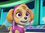 Replay Paw Patrol, la Pat'Patrouille - Le Ruben-O-Saurus