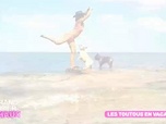 Replay Le grand bêtisier des animaux - Émission 3