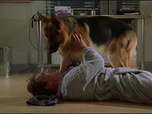 Replay Rex, chien flic - Plein gaz