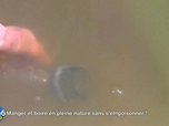 Replay E=M6 Family - Manger boire s'orienter ou faire du feu : comment survivre en pleine nature ?