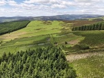Replay ARTE Journal - Irlande : un vaste plan de reboisement