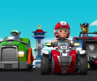 Replay Paw Patrol, la Pat'Patrouille - Surprise