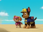 Replay Paw Patrol, la Pat'Patrouille - La Pat'Patrouille des Mers : L'île des tortues