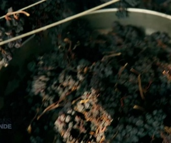 Replay Paysans du monde - Grèce : Raisin sec