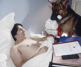 Replay Rex, chien flic - 13/07/2026