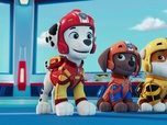 Replay Paw Patrol, la Pat'Patrouille - La Pat' Patrouille des Airs : Le funambule de l'impossible