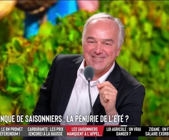 Replay Les Grandes Gueules - Un pesticide jusqu'ici interdit en France réautorisé : la loi agricole va-t-elle nous mettre en danger ?