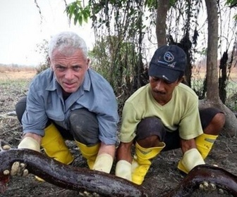 Replay River monsters - S3E5 - L'exécuteur électrique