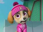Replay Paw Patrol, la Pat'Patrouille - La Pat'Patrouille des Mers sauve la limande