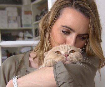 Replay La vie secrète des chats - S2E1 - Du chat des villes au chat des champs