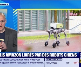 Replay Culture IA : Des colis Amazon livrés par des robots chiens, par Anthony Morel - 25/03