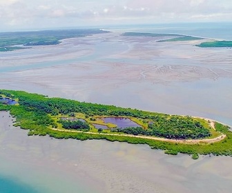 Replay L'archipel sauvage des Bijagos - Merveilles de la nature