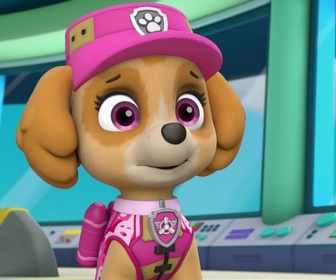 Replay Paw Patrol, la Pat'Patrouille - Sauvetage extrême : le monstre des marais