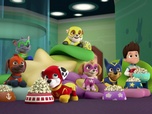 Replay Paw Patrol, la Pat'Patrouille - Super Ruben