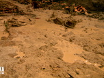 Replay Alaska, La Ruée vers l'Or - S4E5 - La route de l'enfer