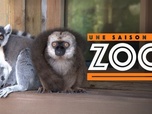 Replay Une saison au zoo - Épisode 16