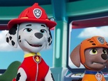 Replay Paw Patrol, la Pat'Patrouille - Le Capitaine Croustifrite