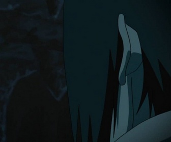 Replay Naruto Shippuden - S14 E3 - Chacun son Konoha