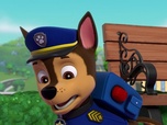 Replay Paw Patrol, la Pat'Patrouille - Galinetta pilote un avion