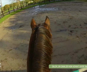 Replay L'hebdo des animaux - S1E3 - Episode 3