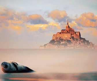 Replay Mont-Saint-Michel, la baie des merveilles - Secrets sauvages du patrimoine