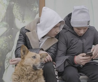 Replay Quand la politique explose la famille - Tracks East