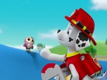 Replay Paw Patrol, la Pat'Patrouille - La grande roue