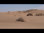 Replay Les secrets du désert : paysages anciens et traditions vivantes d'Ouzbékistan