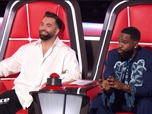Replay The Voice