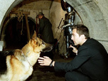 Replay Rex, chien flic - 01/09/2026