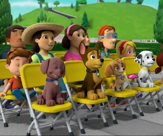 Replay Paw Patrol, la Pat'Patrouille - Le concours de talents