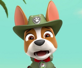 Replay Paw Patrol, la Pat'Patrouille - Tracker, le Ranger de la jungle - (26')