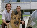 Replay Rex, chien flic - Blondes, belles, mortes