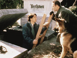 Replay Rex, chien flic - 15/07/2026