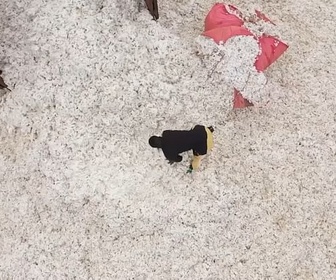 Replay ARTE Journal - Le Bénin veut transformer son or blanc