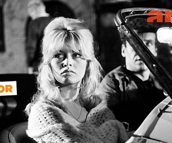 Replay Adieu BB ! - ARTE Journal Junior de lundi