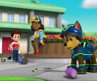 Replay Paw Patrol, la Pat'Patrouille - Des chatons qui sèment la pagaille