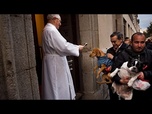 Replay Chiens et chats bénis à l'eau bénite à Madrid
